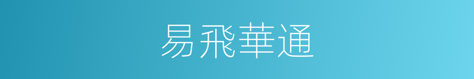 易飛華通的同義詞