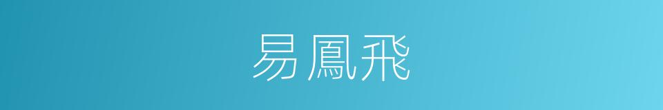 易鳳飛的同義詞