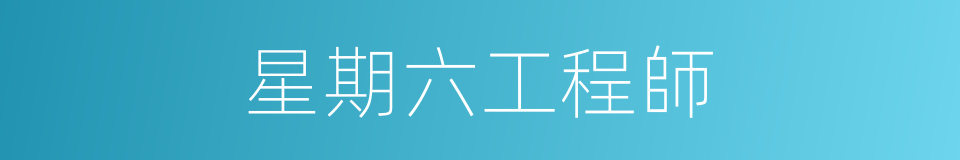 星期六工程師的同義詞