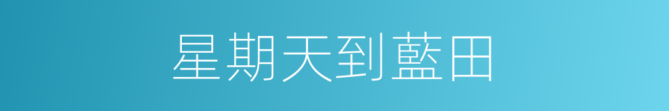 星期天到藍田的同義詞