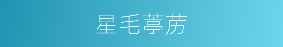 星毛葶苈的同义词