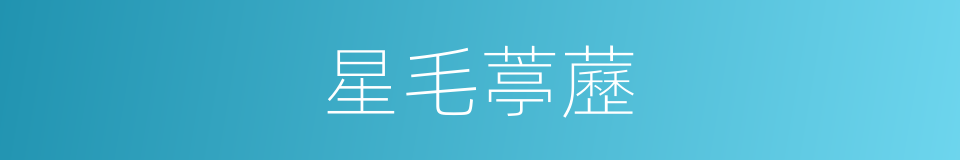 星毛葶藶的同義詞