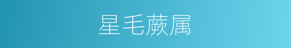 星毛蕨属的同义词