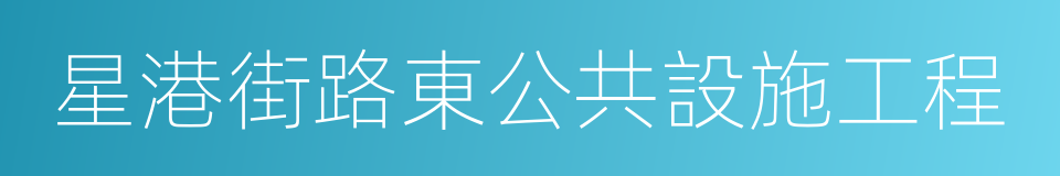 星港街路東公共設施工程的同義詞