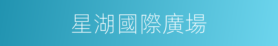 星湖國際廣場的同義詞