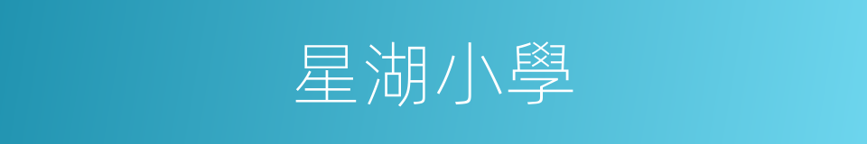 星湖小學的同義詞