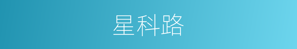 星科路的同义词