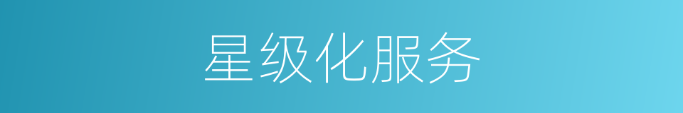 星级化服务的同义词