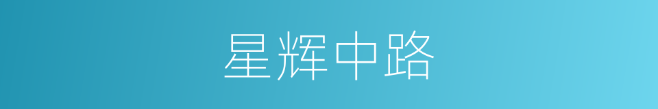 星辉中路的同义词