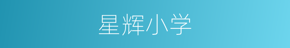 星辉小学的同义词