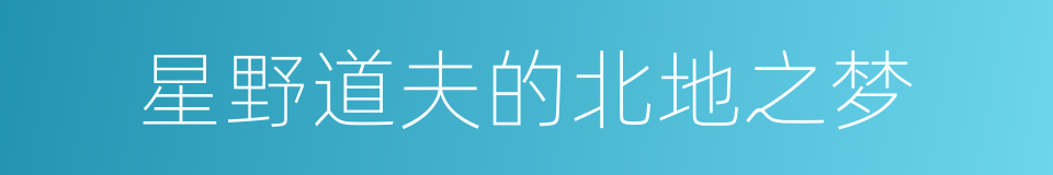 星野道夫的北地之梦的同义词