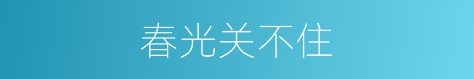 春光关不住的同义词