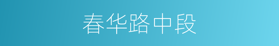 春华路中段的同义词