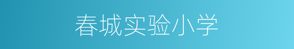 春城实验小学的同义词