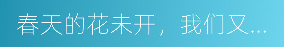 春天的花未开，我们又要上讲台的同义词