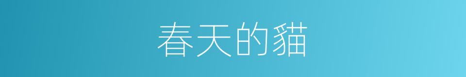 春天的貓的同義詞