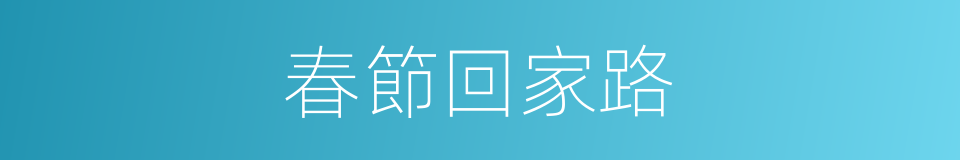 春節回家路的同義詞