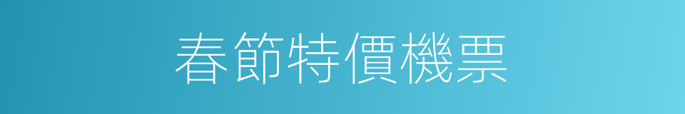 春節特價機票的同義詞