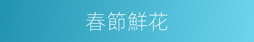 春節鮮花的同義詞