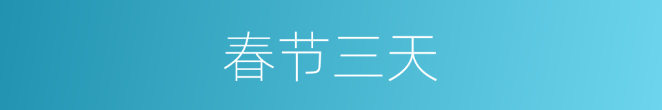 春节三天的同义词