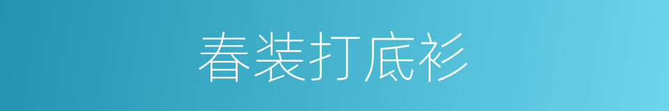 春装打底衫的同义词