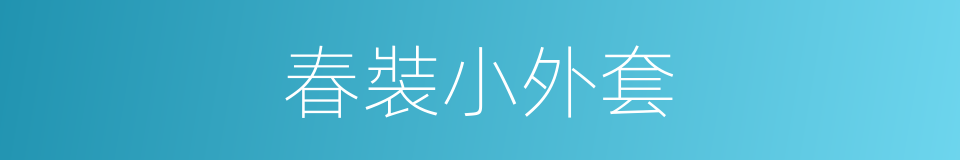 春裝小外套的同義詞