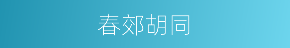 春郊胡同的同义词