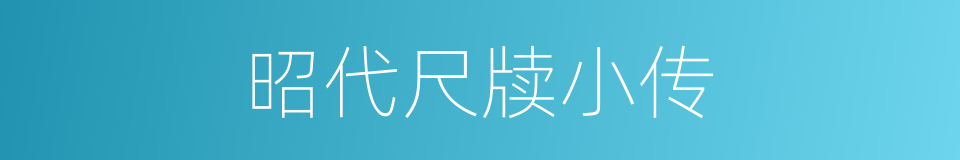 昭代尺牍小传的同义词