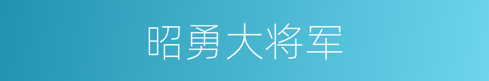 昭勇大将军的同义词