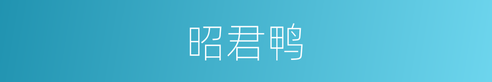 昭君鸭的同义词