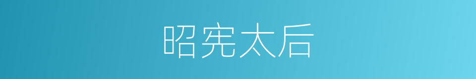 昭宪太后的同义词