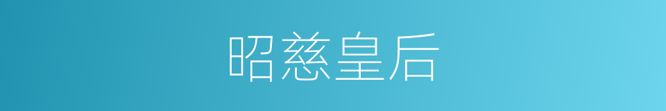 昭慈皇后的同义词