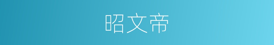 昭文帝的同义词