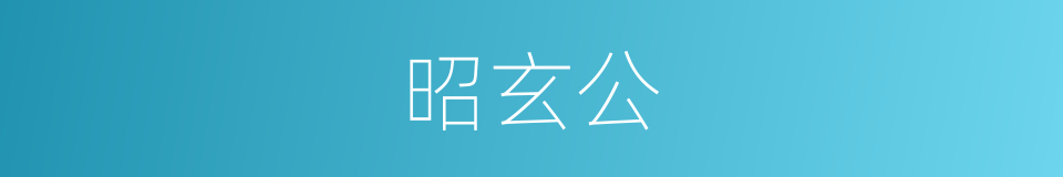 昭玄公的同义词