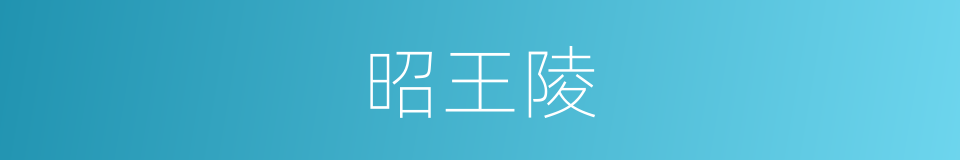 昭王陵的同义词