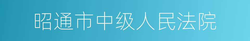 昭通市中级人民法院的同义词