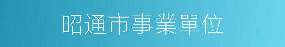 昭通市事業單位的同義詞