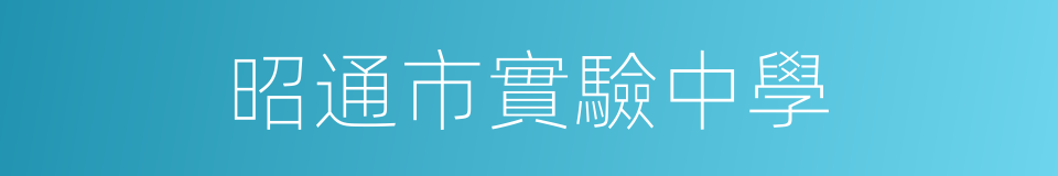 昭通市實驗中學的同義詞