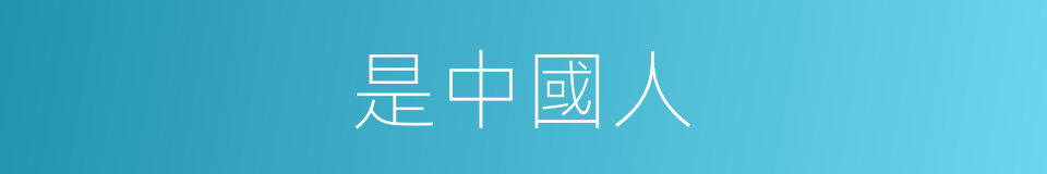 是中國人的意思