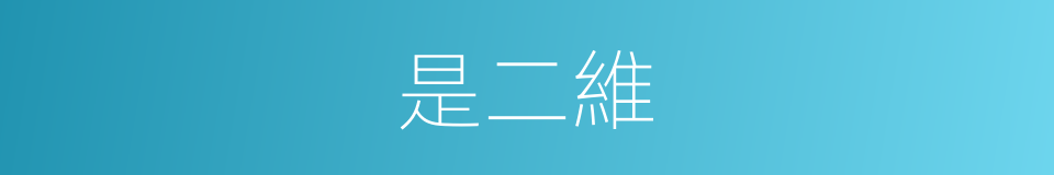 是二維的意思