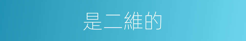 是二維的的同義詞