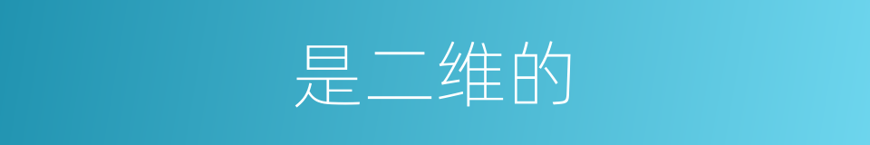 是二维的的同义词