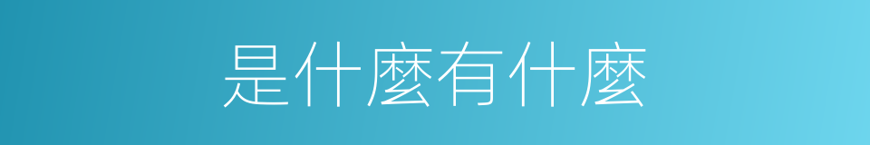 是什麼有什麼的同義詞