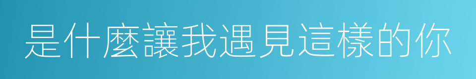 是什麼讓我遇見這樣的你的同義詞