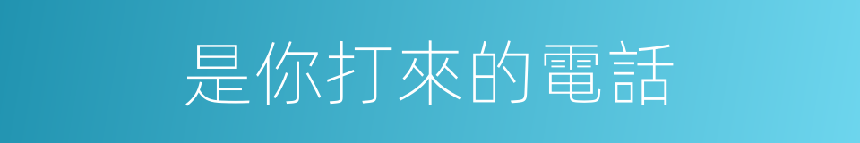 是你打來的電話的同義詞
