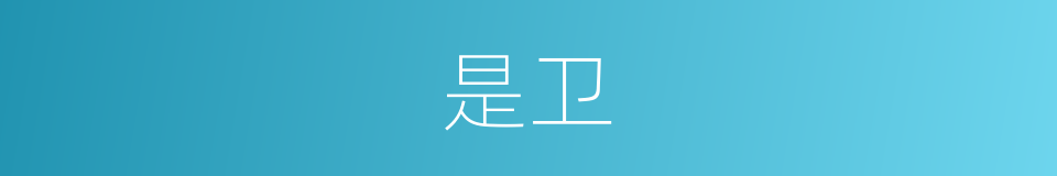 是卫的意思