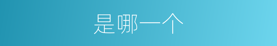 是哪一个的意思