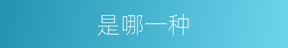 是哪一种的意思