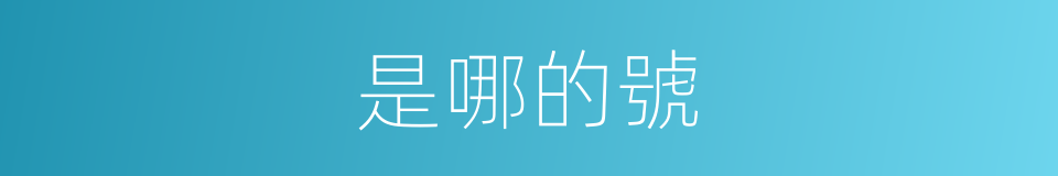 是哪的號的意思