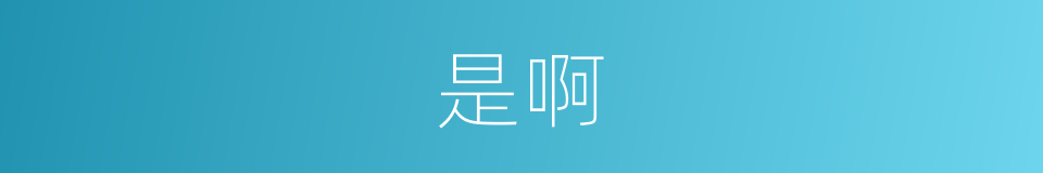 是啊的意思